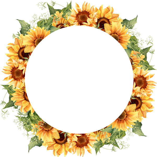 Sunflower  wreath. Watercolor round frame